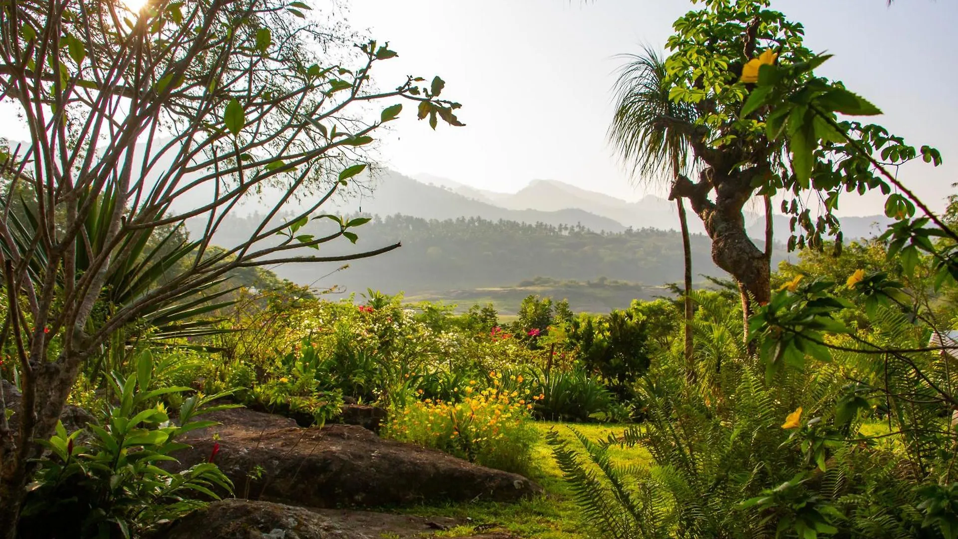 بيت ضيافة Bougainvillea Retreat كاندي